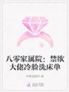 八零家属院:禁欲大佬冷脸洗床单